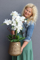 Goldenario Vase, biały storczyk w złotej donicy