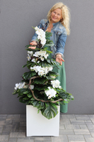 Monstera&Storczyk Fiberglass Sydney, roślinna dekoracja podłogowa