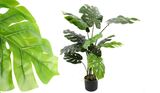 Monstera New, sztuczne drzewko w osłonce / donicy, wys.120cm