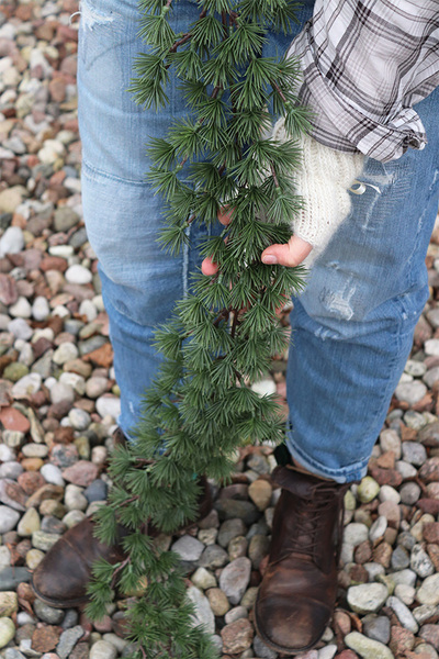 Modrzewiowa, zielona girlanda zimowa