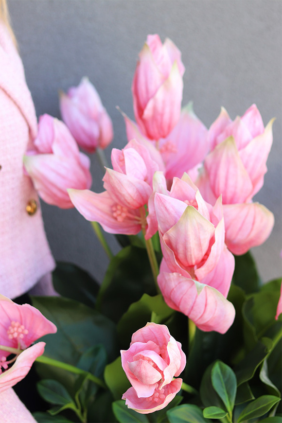 Medinilla Pinky Light, podłogowa dekoracja kwiatowa