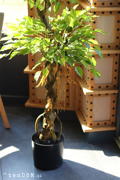 Fikus Benjamin D, sztuczna roślina w doniczce