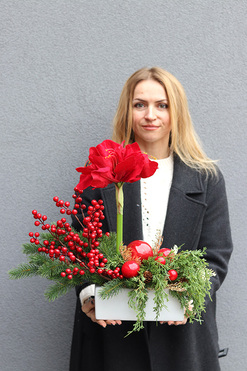 Amarylis Winter Gold B, świąteczna kompozycja z czerwonymi kwiatami, wys.50cm