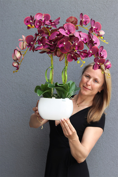 Glamour Felinato, fioletowy gumowy storczyk,wys.60cm 