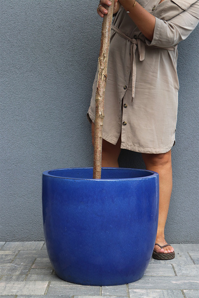 Oliwka Ares Blue, sztuczne drzewko w kobaltowej donicy