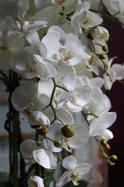 Biała Kromena, sztuczny storczyk w białej donicy, wys.94cm 