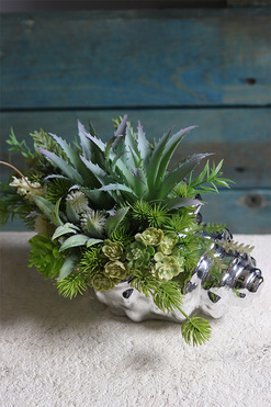 Ocean World, kompozycja marynistyczna w muszli sukulenty, dł.27cm 