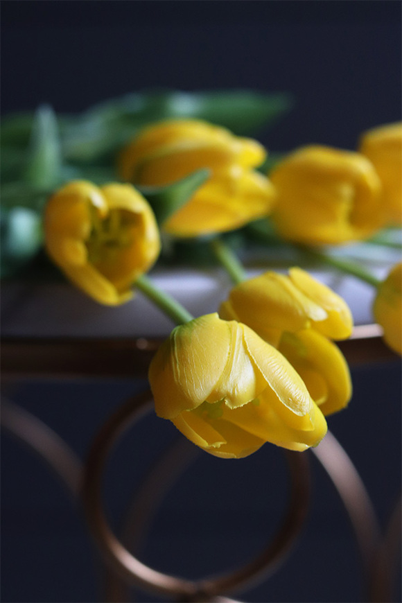 Marzia Yellow, tulipan gumowy, gałązka