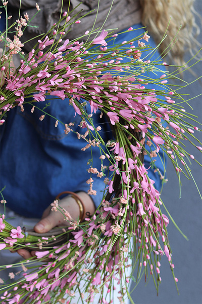 Pink Calina, wiosenny wianek na drzwi