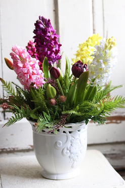 Bellania, kompozycja z hiacyntów i tulipanów, wys.40cm 