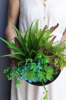 Suculenta Black, kompozycja sukulenty w okrągłej donicy