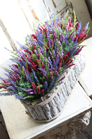 Kolorowe Wrzosy 2, kompozycja kwiatowa w brzozowej skrzynce, wym.28x49cm 