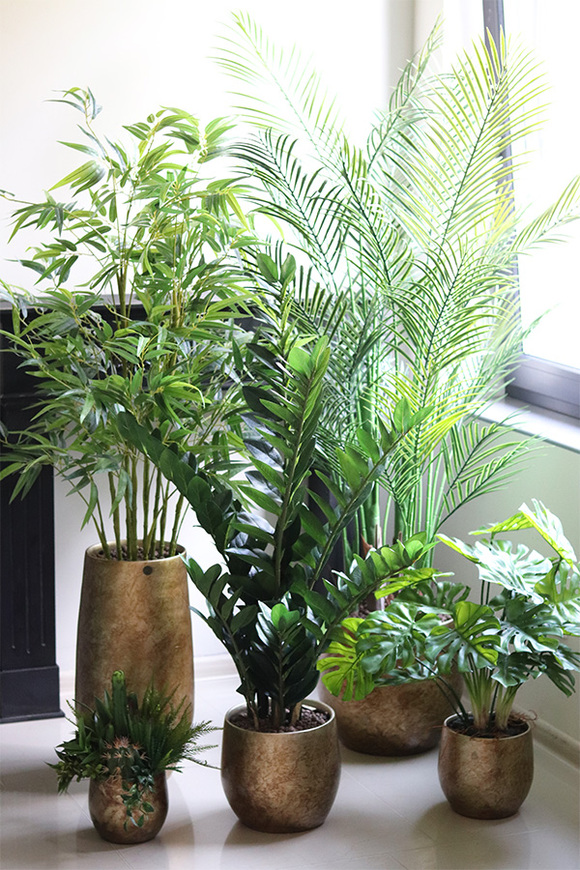 Monstera Gold Hilton, drzewko sztuczne w donicy