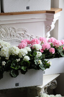 różowe pelargonie w skrzynce balkonowej