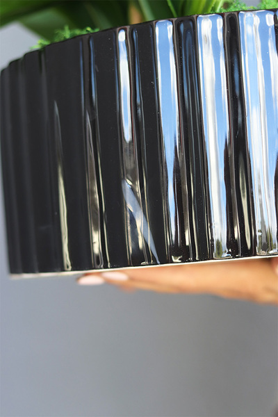 Nullina Black, sztuczny storczyk w czarnej misie