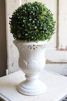 Neros, kula bukszpanowa w białym pucharze, wys.39cm 