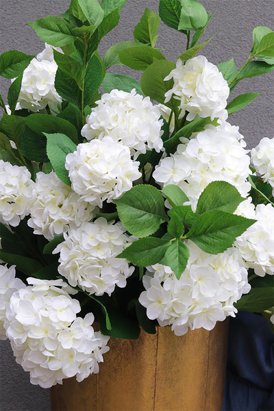 Hortensja Złota Bajka, podłogowa dekoracja kwiatowa