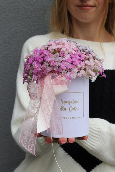 Gipsówka Ballerina, flowerbox kwiatowy welurowy