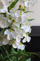 Ambasador New, duży sztuczny storczyk XXL w doniczce