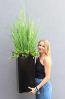 Verdana Black Extra, trawy w czarnej donicy fiberglass