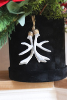 Velurro Gwiazda Betlejemska, flowerbox zimowy