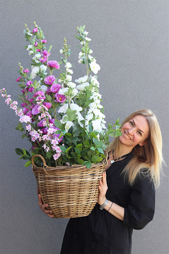 Malwa, dekoracja kwiatowa w koszu, wys.110cm