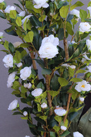 Rose Fiberglass, sztuczne drzewko kwitnące w donicy