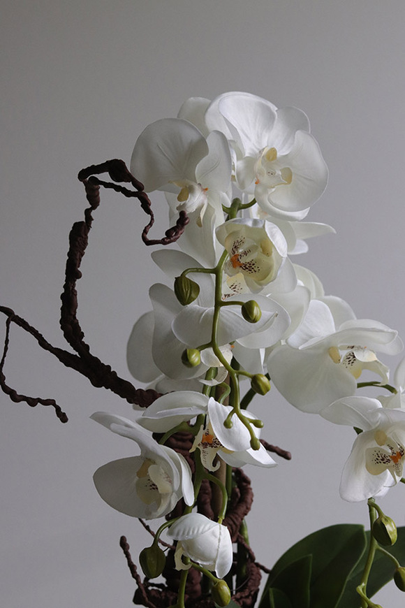 Glassier Como 2, sztuczny storczyk w szklanej tubie