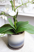 Naturena, wysokiej jakości sztuczny storczyk