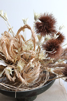 Boho Beige Modern, kompozycja z suszu w naczyniu