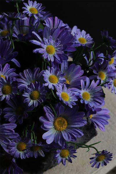 Volcan Blue, fioletowo-niebieskie kwiaty w ciężkim naczyniu