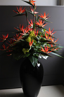  ogromny bukiet Strelicja Królewska