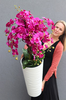 Gizelle Delinata Fuksja, wysoki sztuczny storczyk w białej donicy