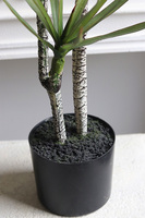 Dracena, wysokiej jakości sztuczna roślina