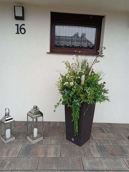 Geroya 2, zielona kompozycja z trawami do twojej donicy