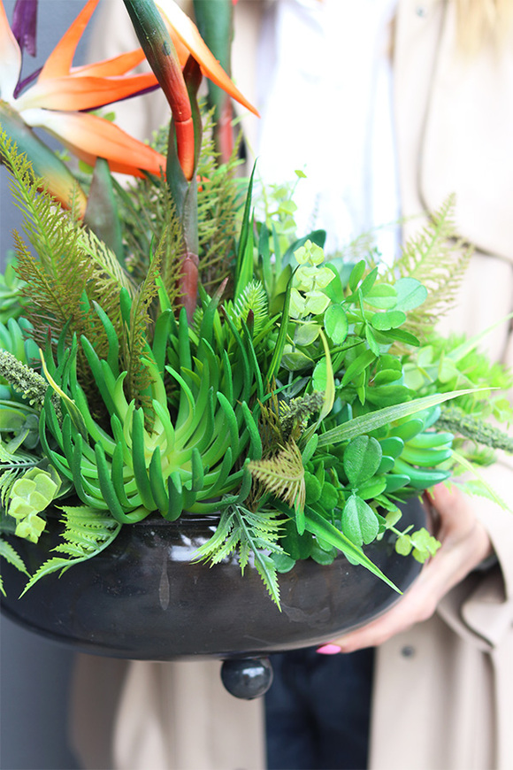 Strelicja Czerń, egzotyczna kompozycja w misie