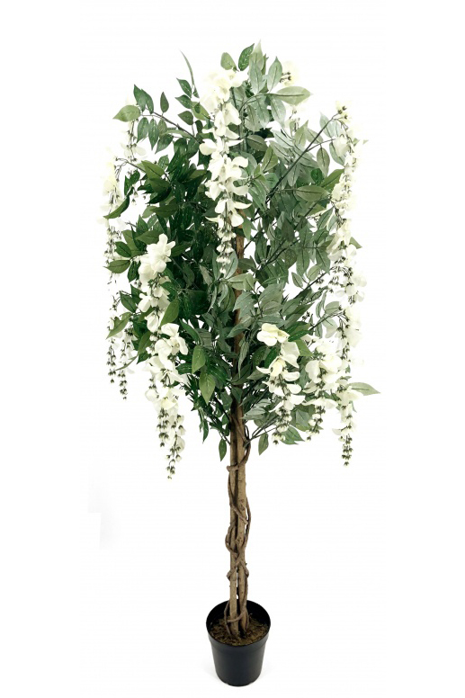 Wisteria Biała, sztuczna roślina drzewo w donicy