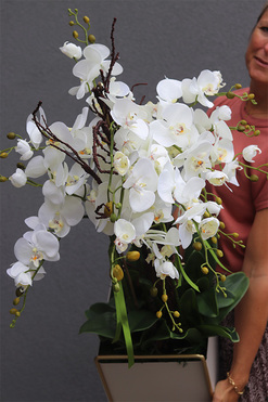 storczyki Duo Italiano, kpl.2szt., wys.140/148cm