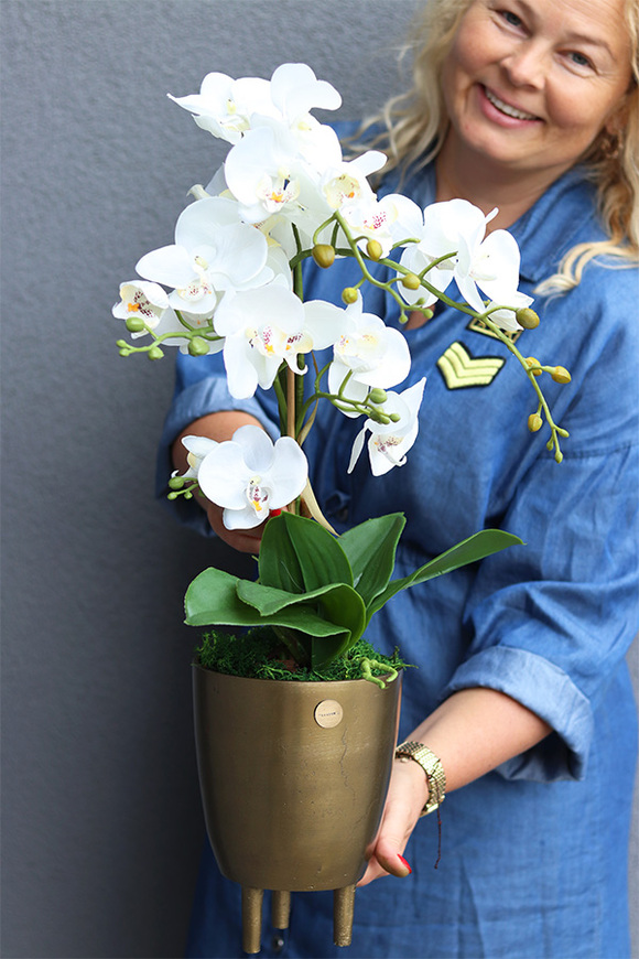 Złota Baśń 2, storczyk w złotej osłonce na nóżkach