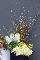 Wiosenne Trele, wiosenna kompozycja roślinna