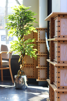 Fikus Benjamin D Deluxe, sztuczna roślina w donicy