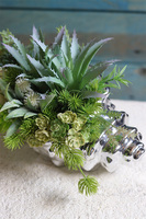 Ocean World, kompozycja marynistyczna w muszli sukulenty