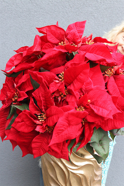 Gwiazda Betlejemska Nimfa, wysokiej jakości sztuczna roślina, wys.100cm