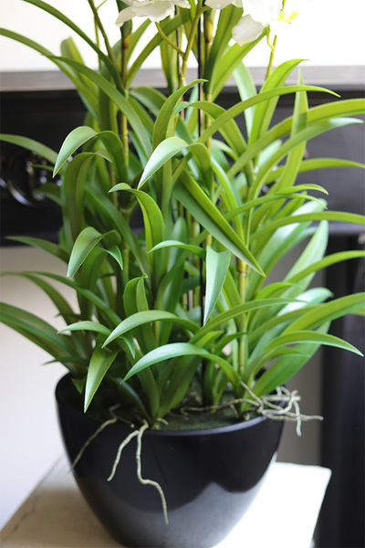 Ambasador New, duży sztuczny storczyk XXL w doniczce