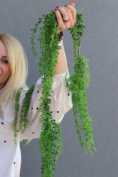 Subtina, girlanda z zielonych pędów, dł.100cm