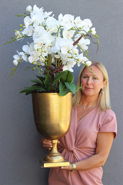 Złoty Puchar, storczyk w pucharze, wys.90cm