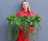 Longia Suculentas Steel, sukulenty w stalowej donicy