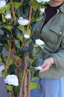 Rose Fiberglass, sztuczne drzewko kwitnące w donicy