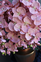 Veneziana 2 Exclusive Villa, storczyk w pucharze