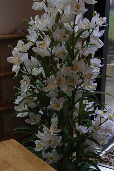 Ambasador Fiberglass Cymbydium, sztuczny storczyk w czarnej donicy